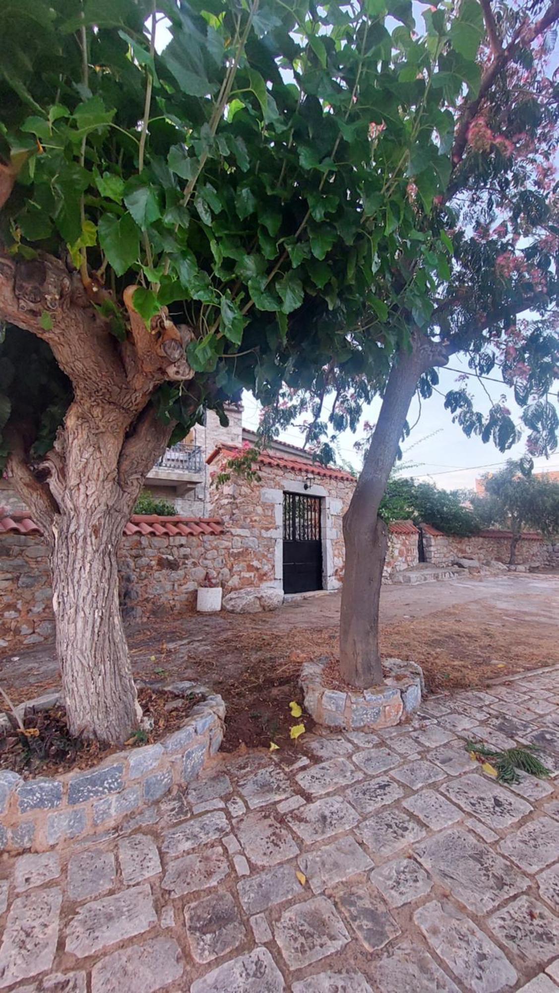 200 Year Old 'Kamara Suite' With Private Garden Pírgos Dhiroú Extérieur photo